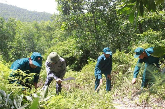 Kinh Môn tập trung các biện pháp quản lý, bảo vệ phát triển rừng